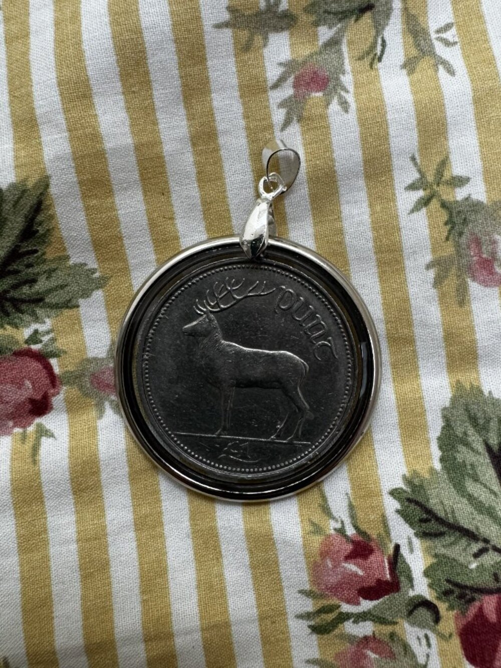 Irish 1 Pound Red Deer Vintage Coin Resin Pendant Necklace
